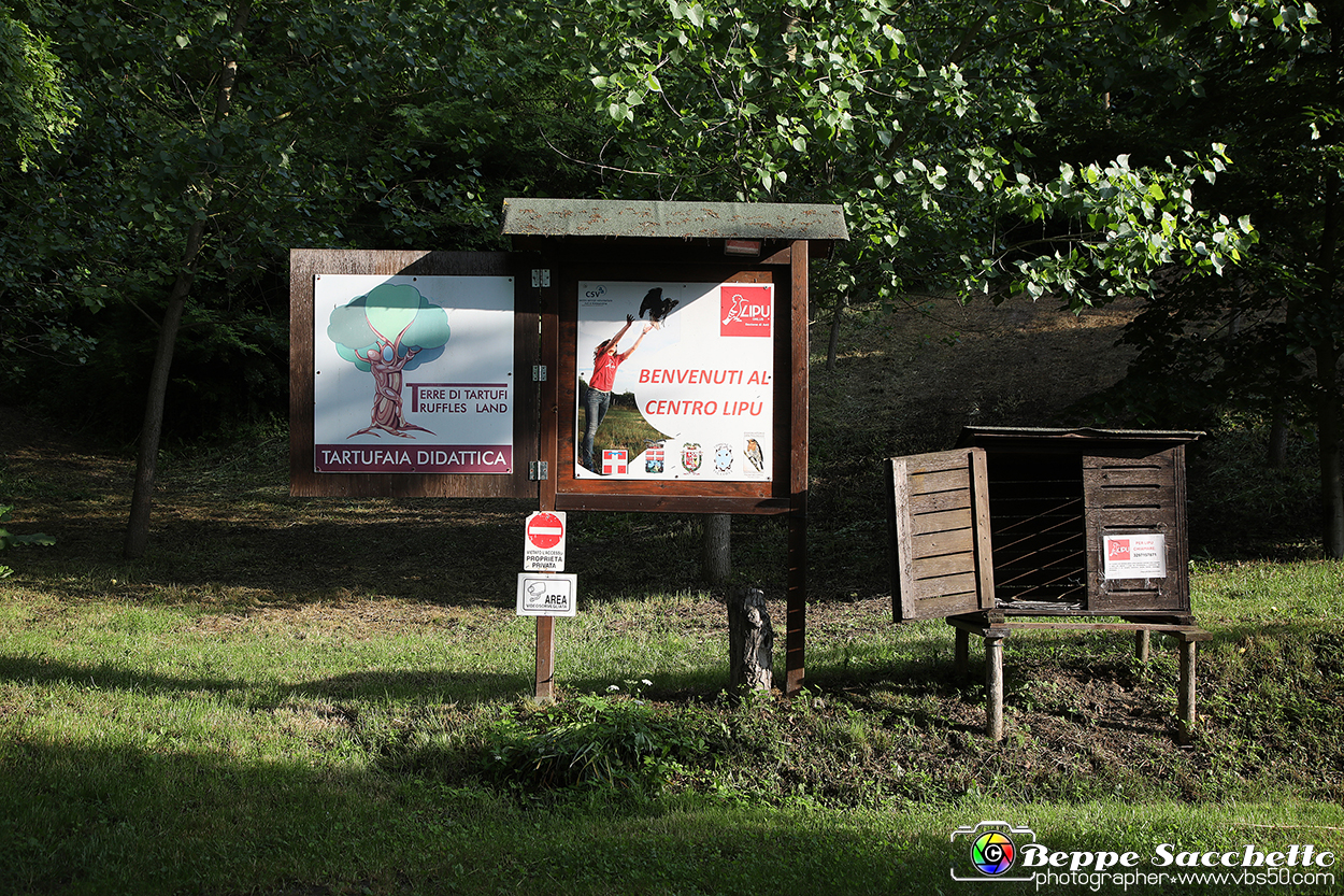 VBS_9459 - A spasso per Tigliole 2025 - Nona edizione.jpg